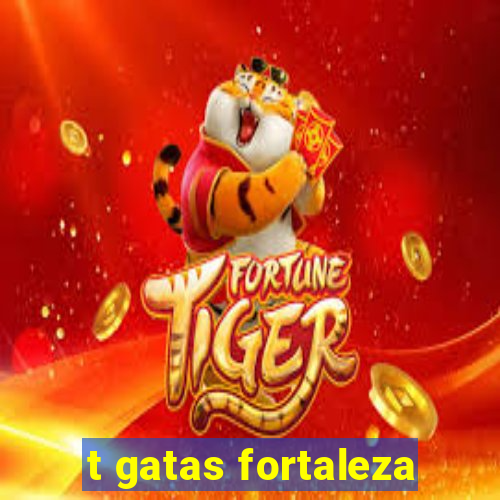 t gatas fortaleza